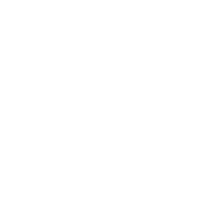 Limuzin bérlés táncossal vagy táncoslánnyal